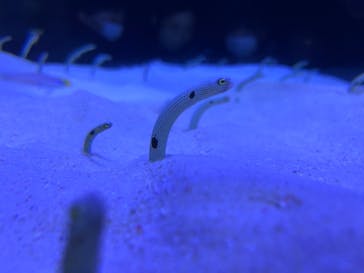 マリンワールド海の中道に投稿された画像（2022/12/31）