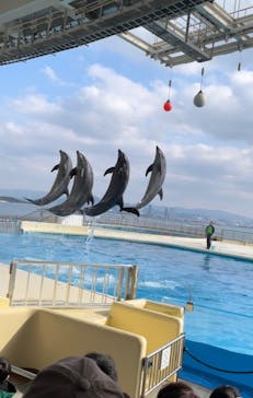 マリンワールド海の中道に投稿された画像（2022/12/31）