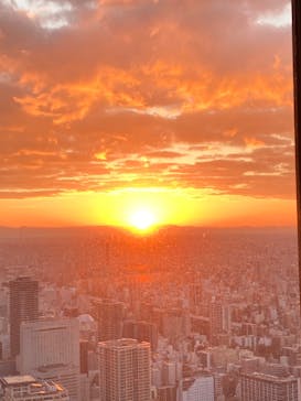 屋外展望台スカイプロムナードに投稿された画像（2022/12/31）