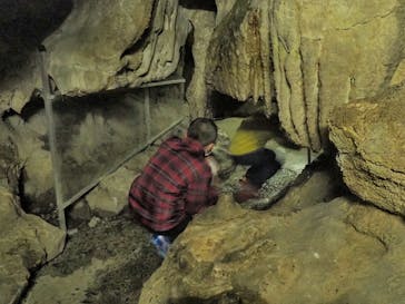 あぶくま洞に投稿された画像（2022/12/31）