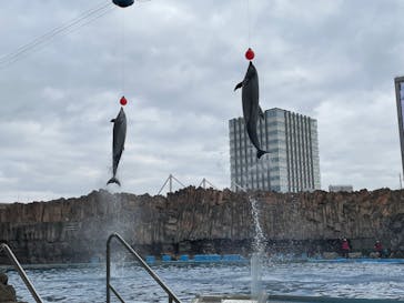 名古屋港水族館に投稿された画像（2022/12/31）