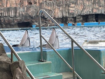 名古屋港水族館に投稿された画像（2022/12/31）