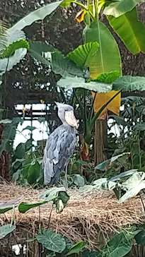 神戸どうぶつ王国に投稿された画像（2023/1/1）