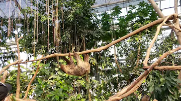 神戸どうぶつ王国に投稿された画像（2023/1/1）