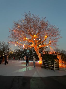 西武園ゆうえんちに投稿された画像（2023/1/1）