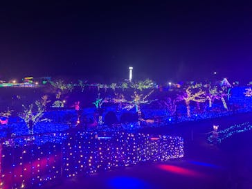 伊豆ぐらんぱる公園に投稿された画像（2023/1/1）