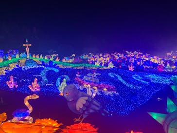 伊豆ぐらんぱる公園に投稿された画像（2023/1/1）