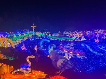 伊豆ぐらんぱる公園に投稿された画像（2023/1/1）