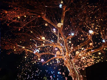 西武園ゆうえんちに投稿された画像（2023/1/1）