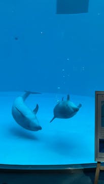 名古屋港水族館に投稿された画像（2023/1/1）