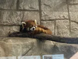 天王寺動物園に投稿された画像（2023/1/1）