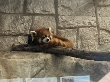 天王寺動物園に投稿された画像（2023/1/1）