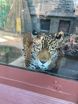 天王寺動物園に投稿された画像（2023/1/1）