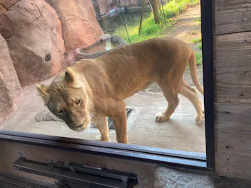 天王寺動物園に投稿された画像（2023/1/1）