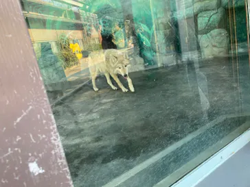 天王寺動物園に投稿された画像（2023/1/1）