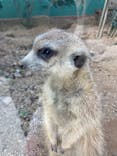 しろとり動物園に投稿された画像（2023/1/1）