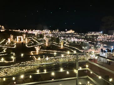 いばらきフラワーパークに投稿された画像（2023/1/1）