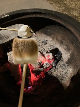 いばらきフラワーパークに投稿された画像（2023/1/1）