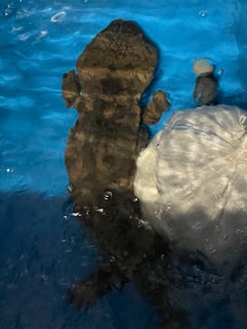 サンシャイン水族館に投稿された画像（2023/1/1）