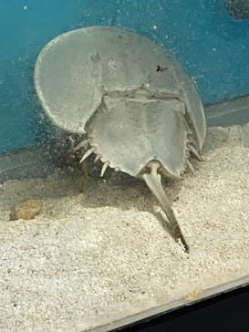 サンシャイン水族館に投稿された画像（2023/1/1）