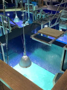 サンシャイン水族館に投稿された画像（2023/1/1）