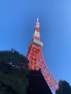 東京タワーに投稿された画像（2023/1/1）