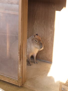 新江ノ島水族館に投稿された画像（2023/1/1）