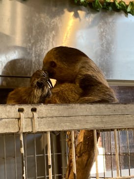 アニタッチみなとみらいに投稿された画像（2023/1/1）