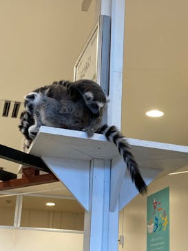 アニタッチみなとみらいに投稿された画像（2023/1/1）