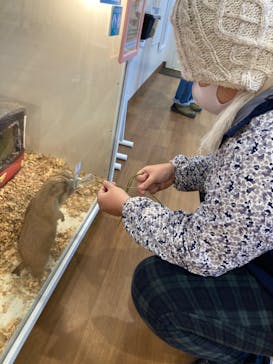 アニタッチみなとみらいに投稿された画像（2023/1/1）