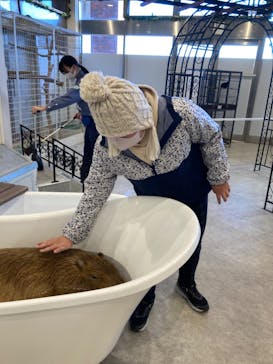 アニタッチみなとみらいに投稿された画像（2023/1/1）