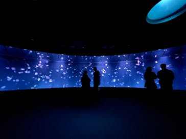 サンシャイン水族館に投稿された画像（2023/1/1）