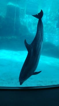 名古屋港水族館に投稿された画像（2023/1/1）