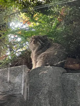神戸どうぶつ王国に投稿された画像（2023/1/1）