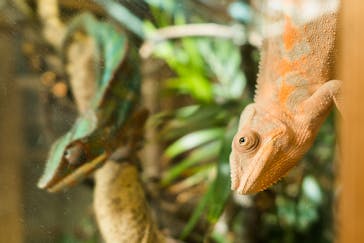 体感型動物園iZooに投稿された画像（2023/1/1）