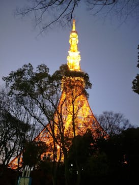 東京タワーに投稿された画像（2023/1/1）