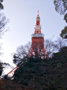 東京タワーに投稿された画像（2023/1/1）