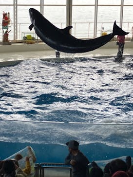 アクアワールド茨城県大洗水族館に投稿された画像（2023/1/1）
