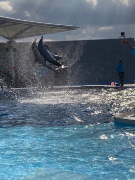 四国水族館に投稿された画像（2023/1/1）