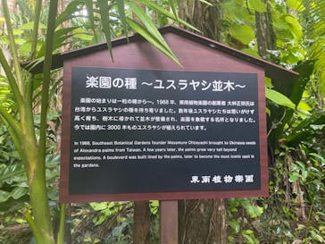 美らヤシパークオキナワ・東南植物楽園に投稿された画像（2023/1/1）