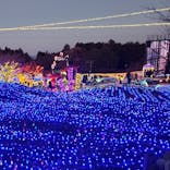 伊豆ぐらんぱる公園に投稿された画像（2023/1/1）