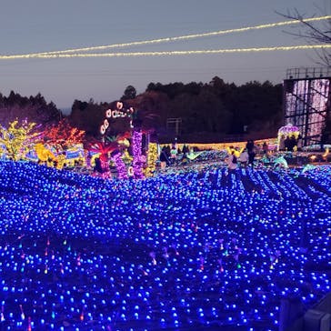伊豆ぐらんぱる公園に投稿された画像（2023/1/1）
