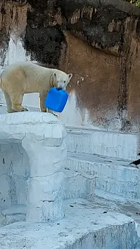 天王寺動物園に投稿された画像（2023/1/1）