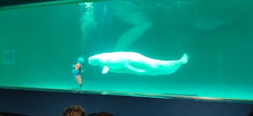 鴨川シーワールドに投稿された画像（2023/1/1）