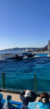 鴨川シーワールドに投稿された画像（2023/1/1）