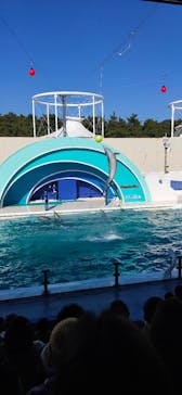 鴨川シーワールドに投稿された画像（2023/1/1）