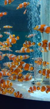 鴨川シーワールドに投稿された画像（2023/1/1）