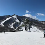 斑尾高原スキー場に投稿された画像（2023/1/1）