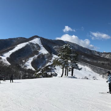 斑尾高原スキー場に投稿された画像（2023/1/1）