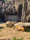 天王寺動物園に投稿された画像（2023/1/1）